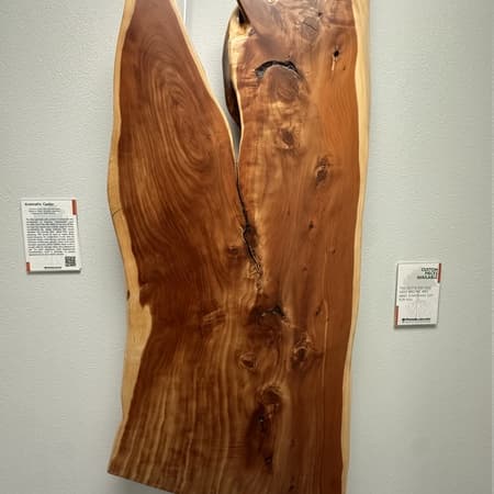 Aromatic Cedar