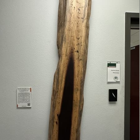 Brazilian Ebony/ Pao Santo