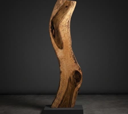 Rainbow Poplar